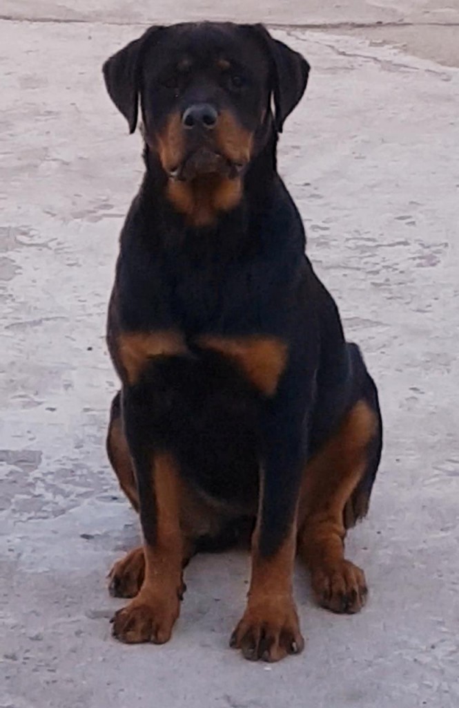 IMG-20191017-WA0019 IMG-20191017-WA0019